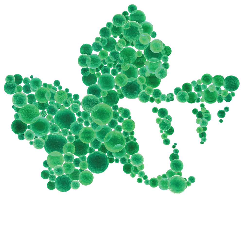 WEGE Prize 2020
